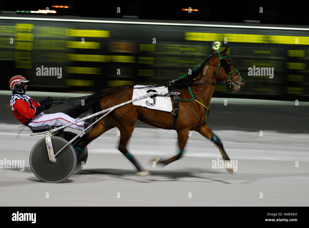 Harness racing pacer speeding past finish line ahead of the pack at night in winter Ontario Stock Photo