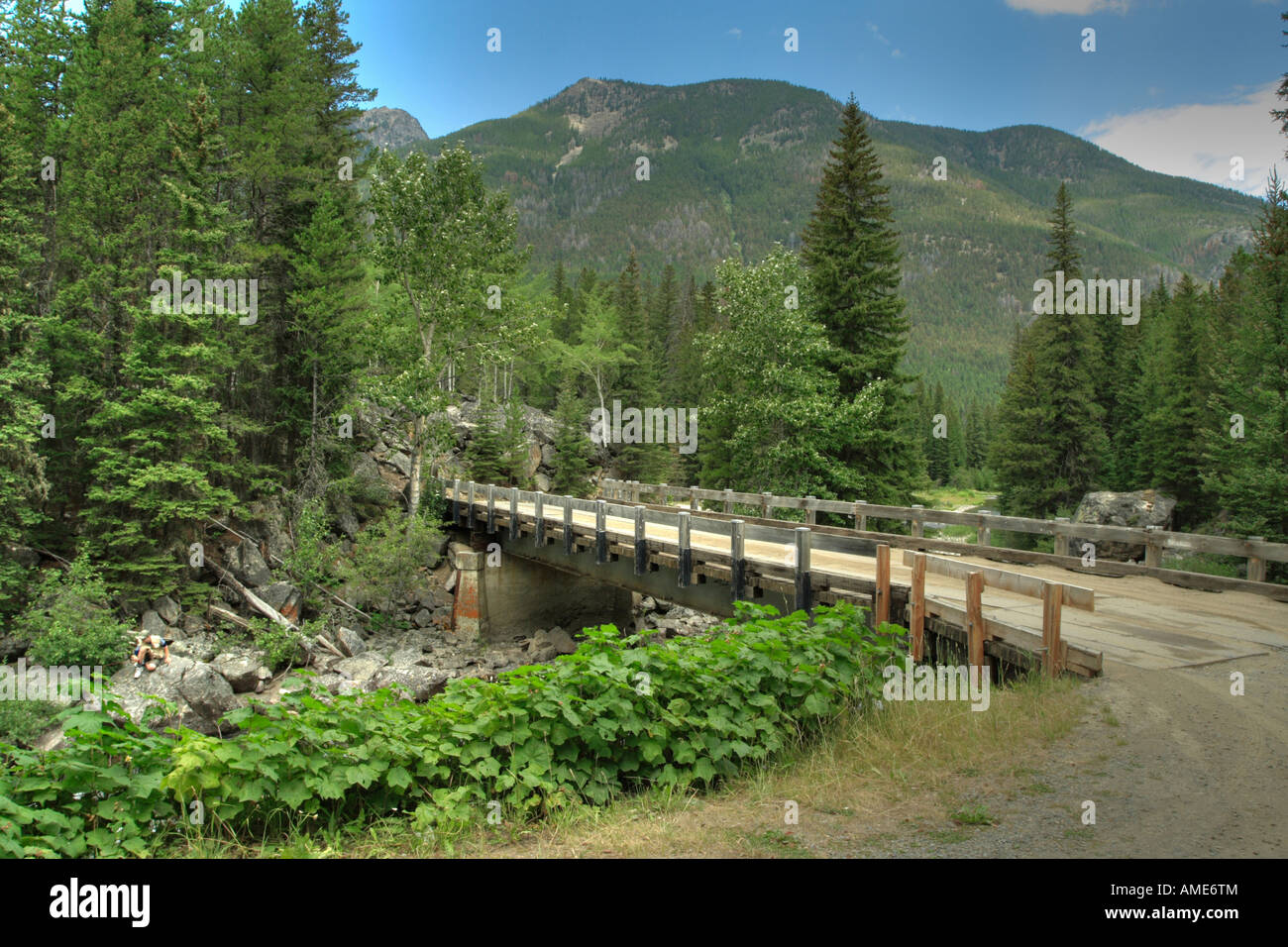 Bridge in National Forest Stock Photo Alamy