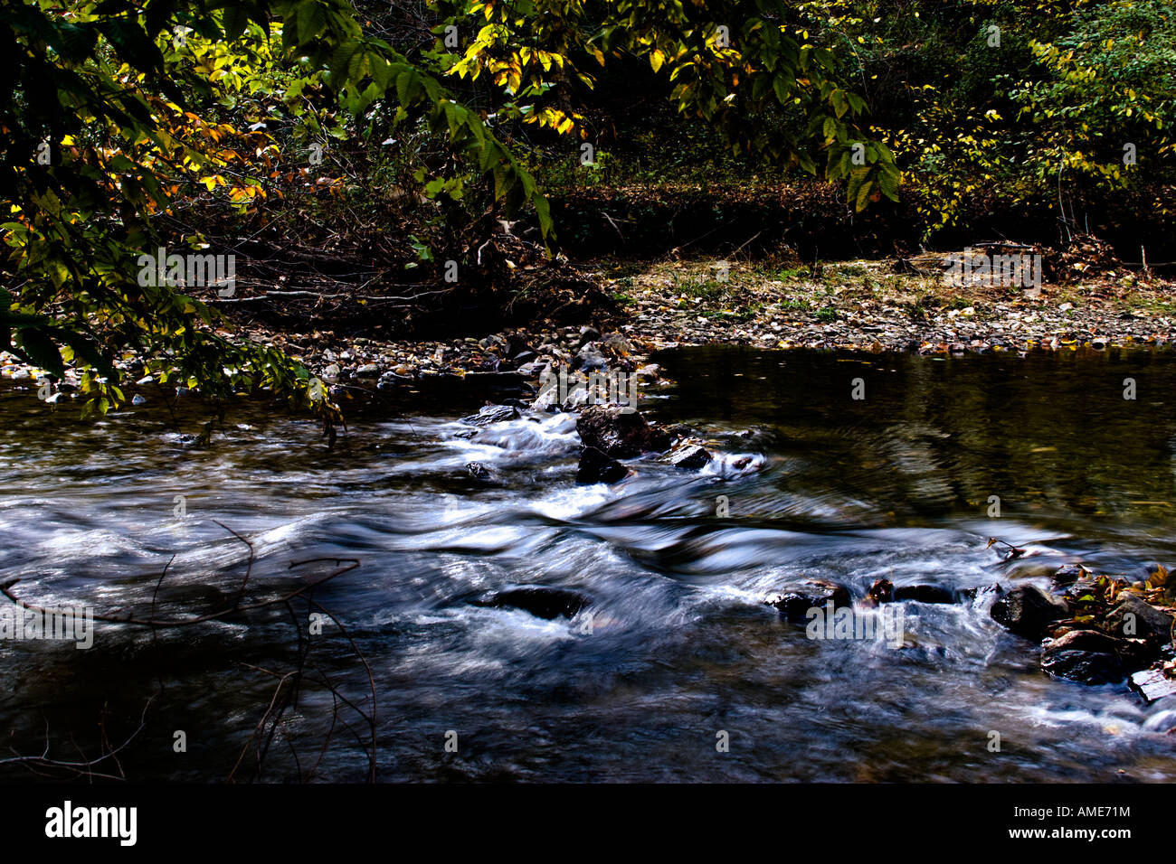 Pickering a la silk Stock Photo