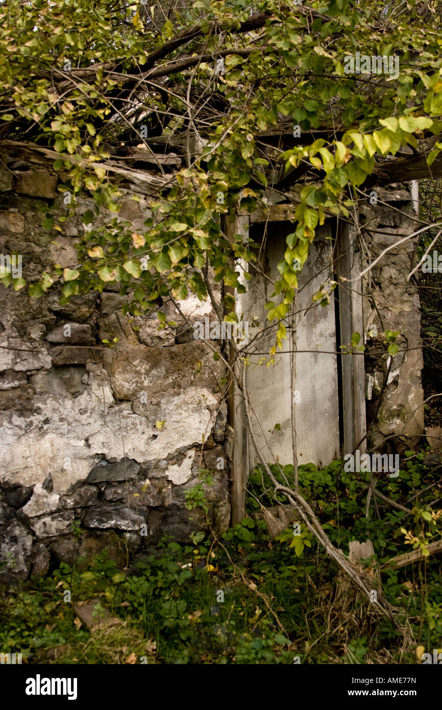 Door on a old Spring House Stock Photo - Alamy