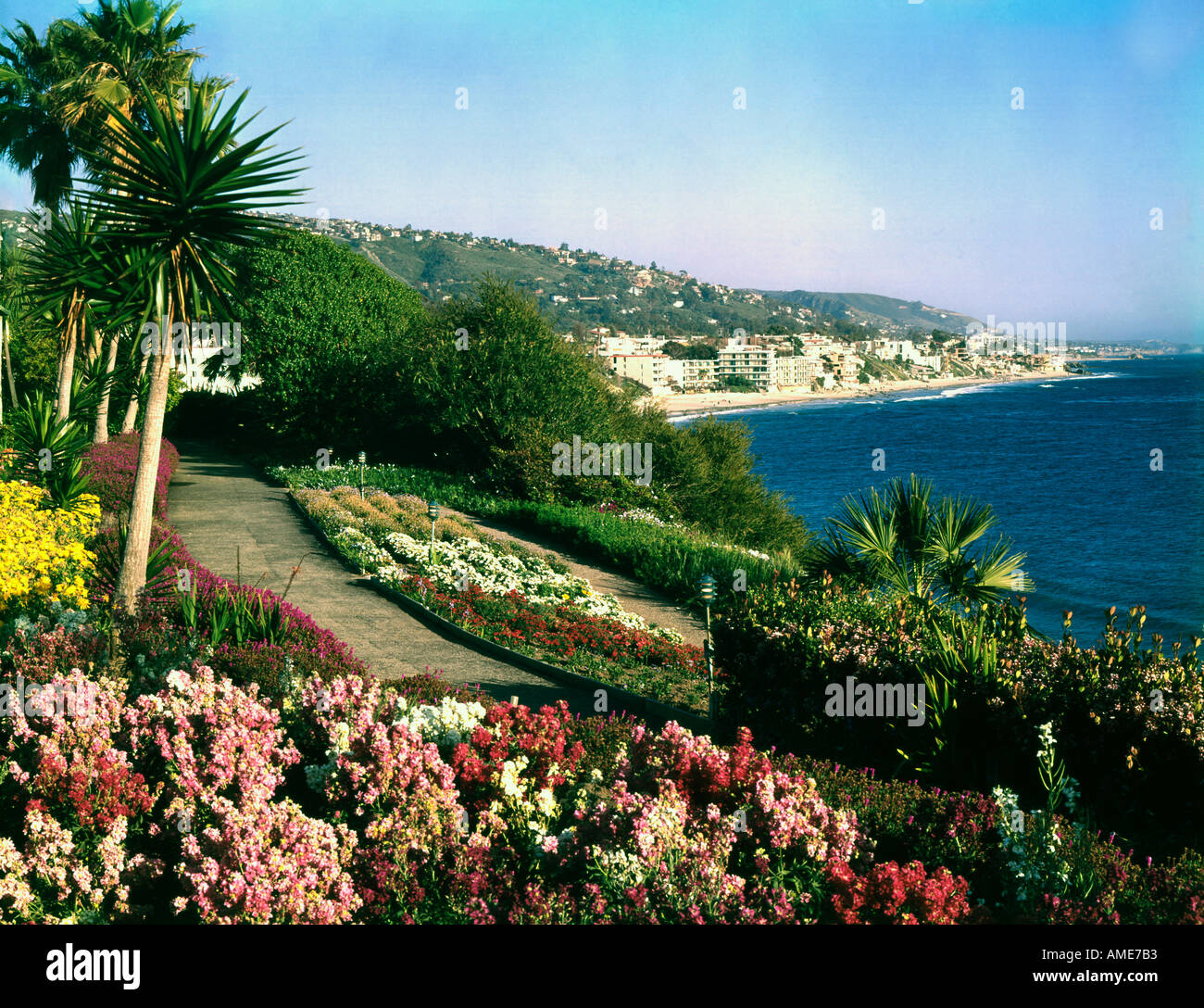 Laguna Beach in California showing the oceanfront with red aloe blooms