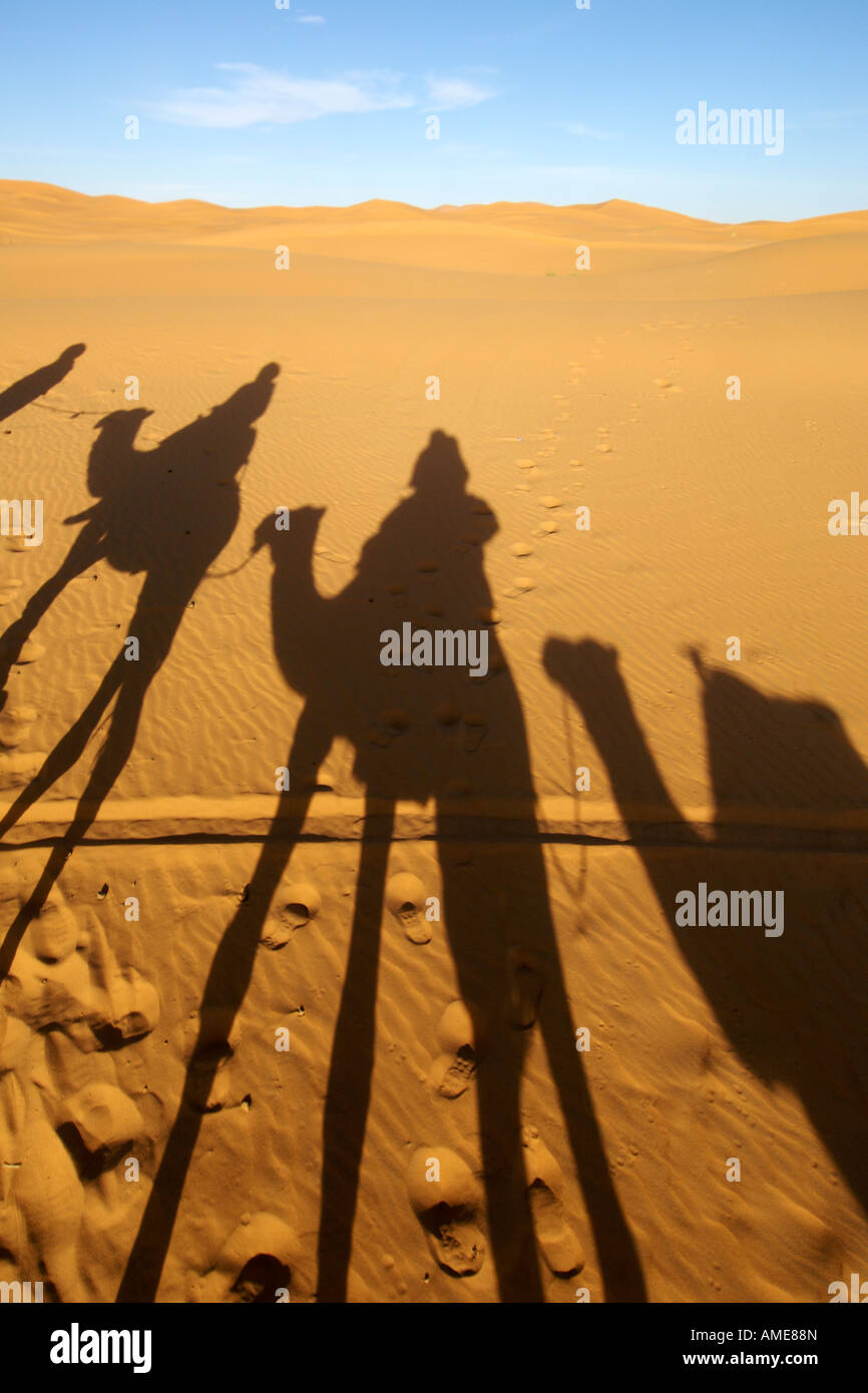 Shadow of three dromedary camels though the sand dunes of Erg Chebbi near Merzouga in eastern Morocco. Stock Photo