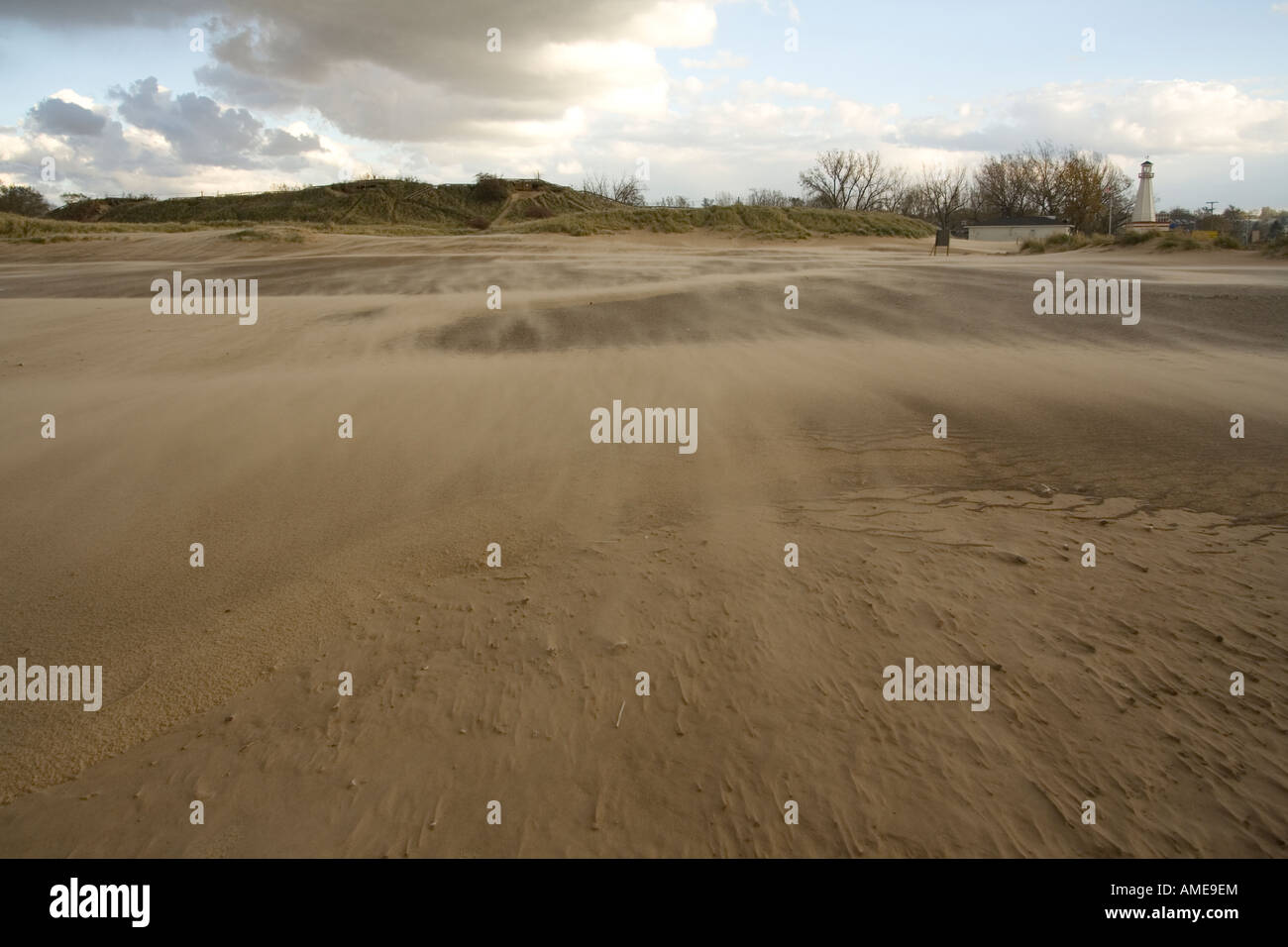 Windswept landscape on beach Stock Photo