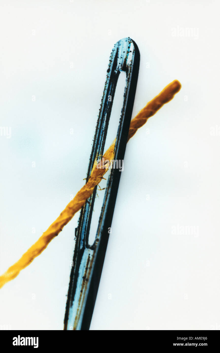 CloseUp of Threaded Needle Stock Photo Alamy