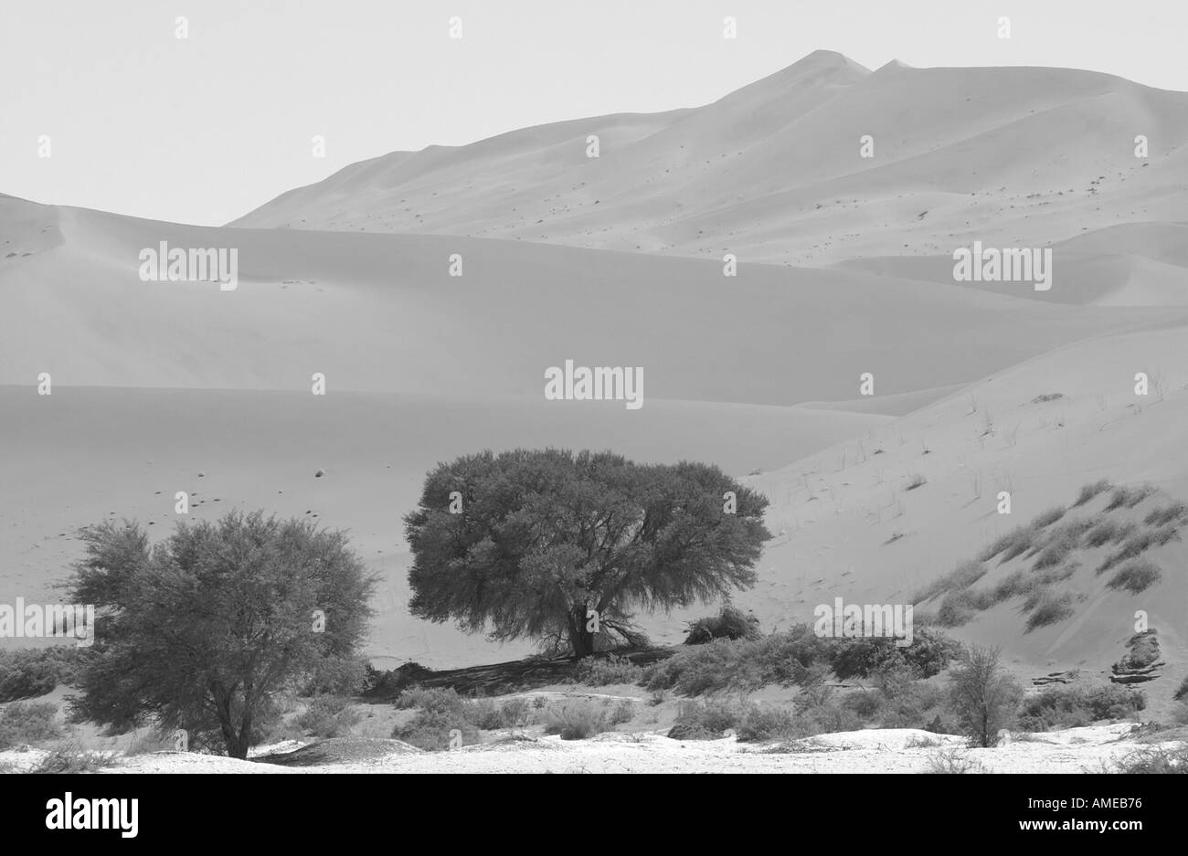 Dunes in white desert Black and White Stock Photos & Images - Alamy