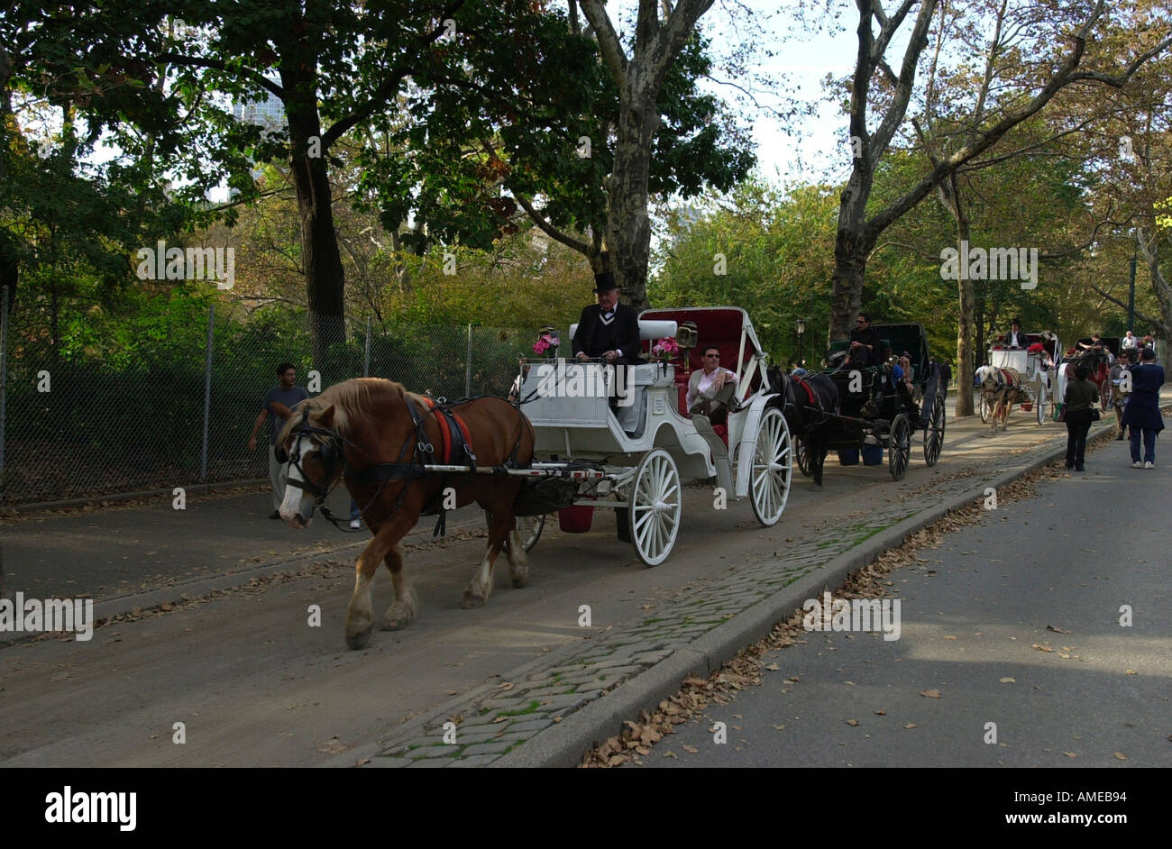 Carriages central park hi-res stock photography and images - Alamy