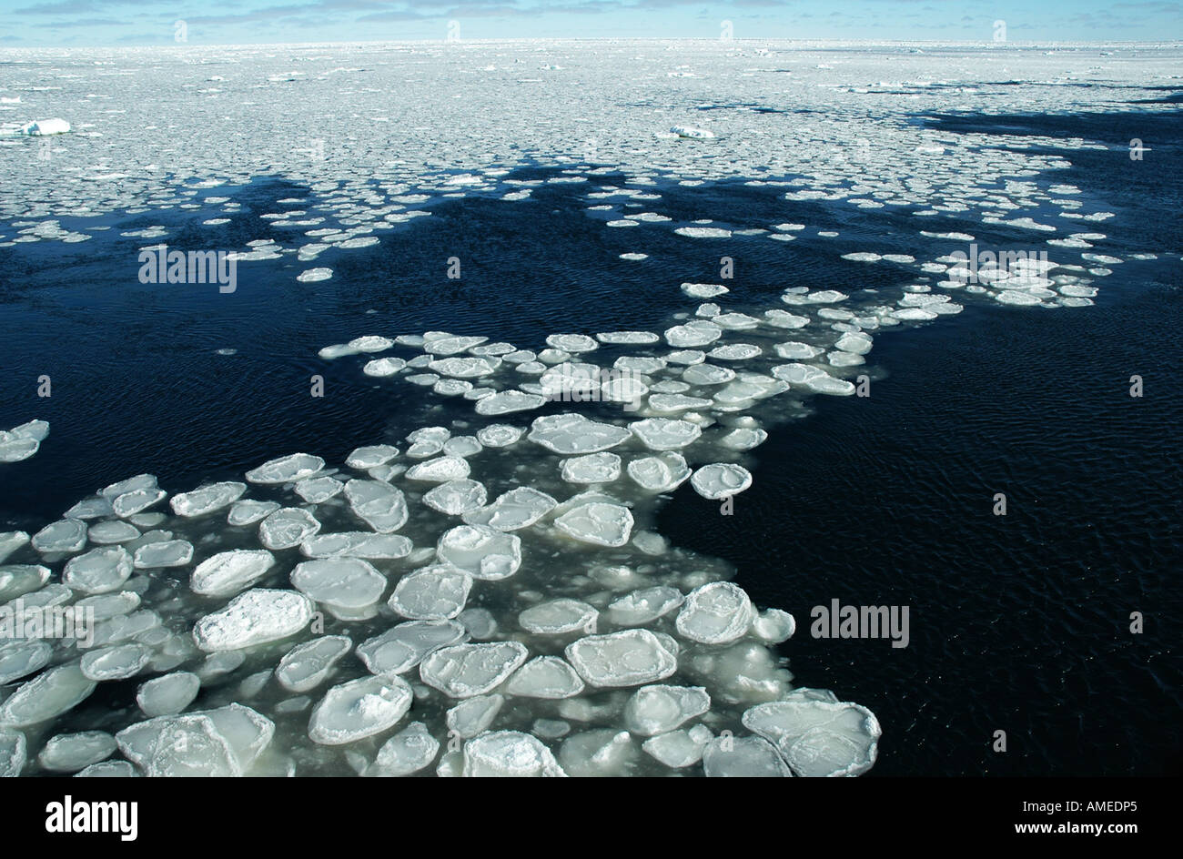 Pancake ice antarctica hi-res stock photography and images - Alamy