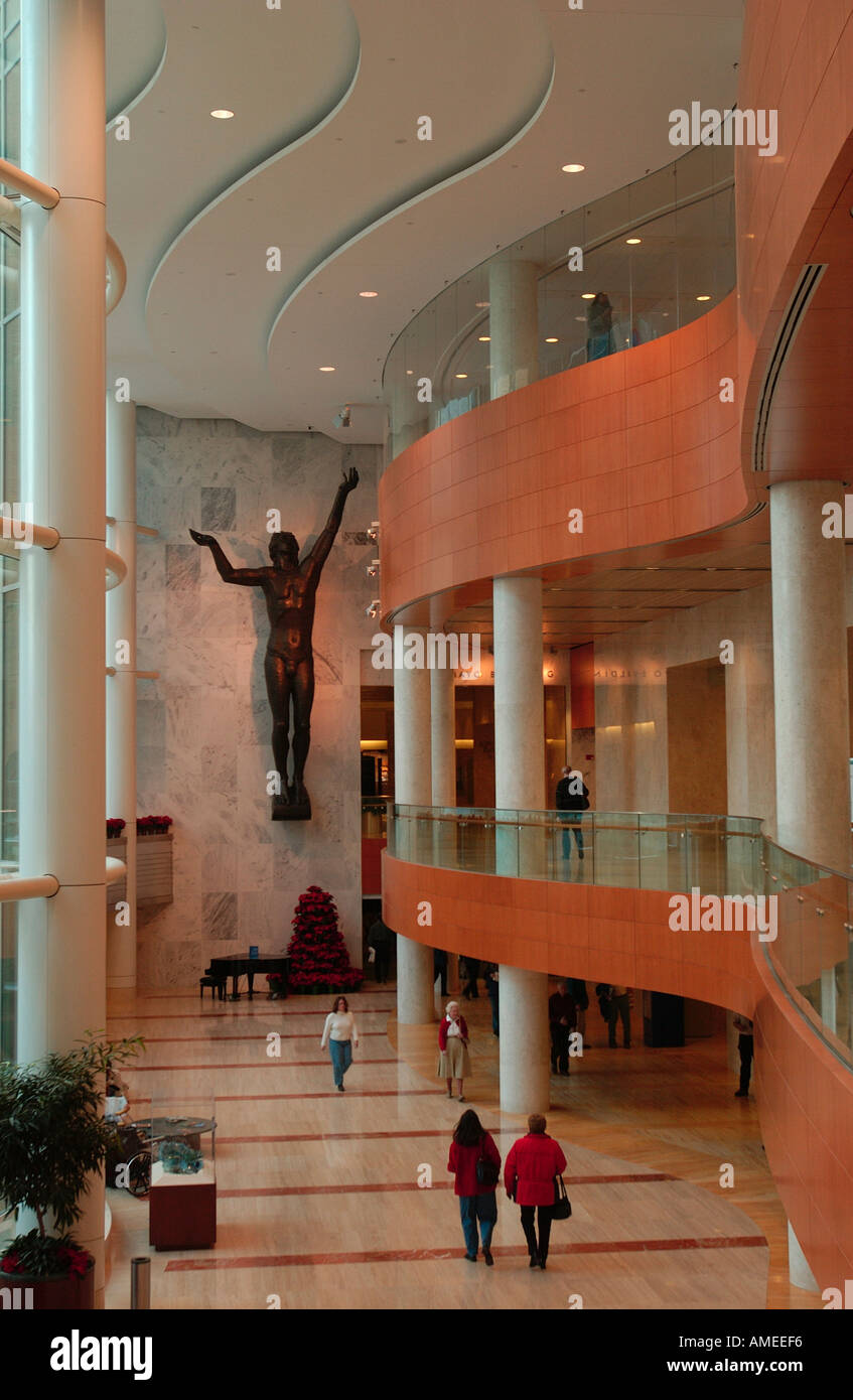 Rochester Minnesota Hospital Mayo - Rochester Minnesota Hospital Mayo Clinic AMEEF6