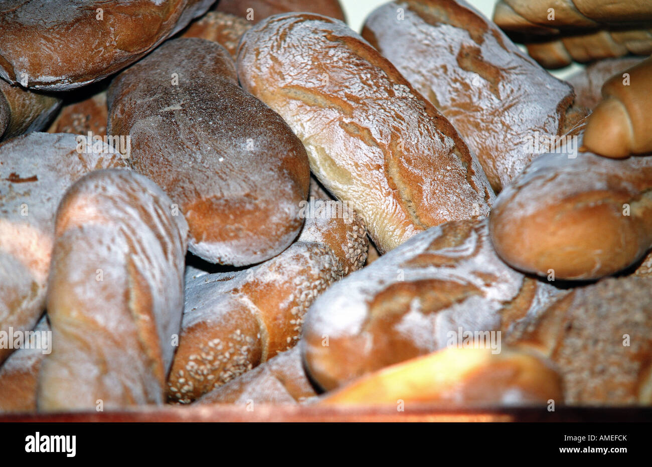 Fresh baked crusty Italian ciabatta rolls and sticks in a bakery Stock  Photo - Alamy
