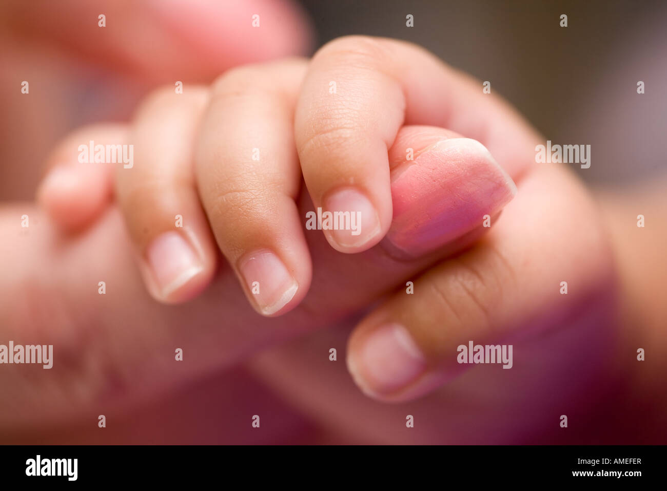 Tiny newborn baby fingers wrapped around adult female fingers up close Stock Photo
