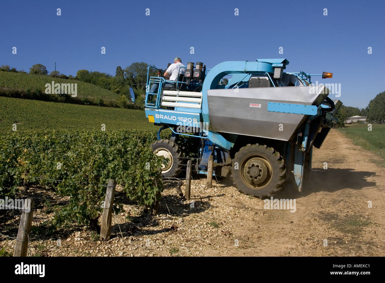 Mechanical grape harvesting braud 1620 hires stock photography and