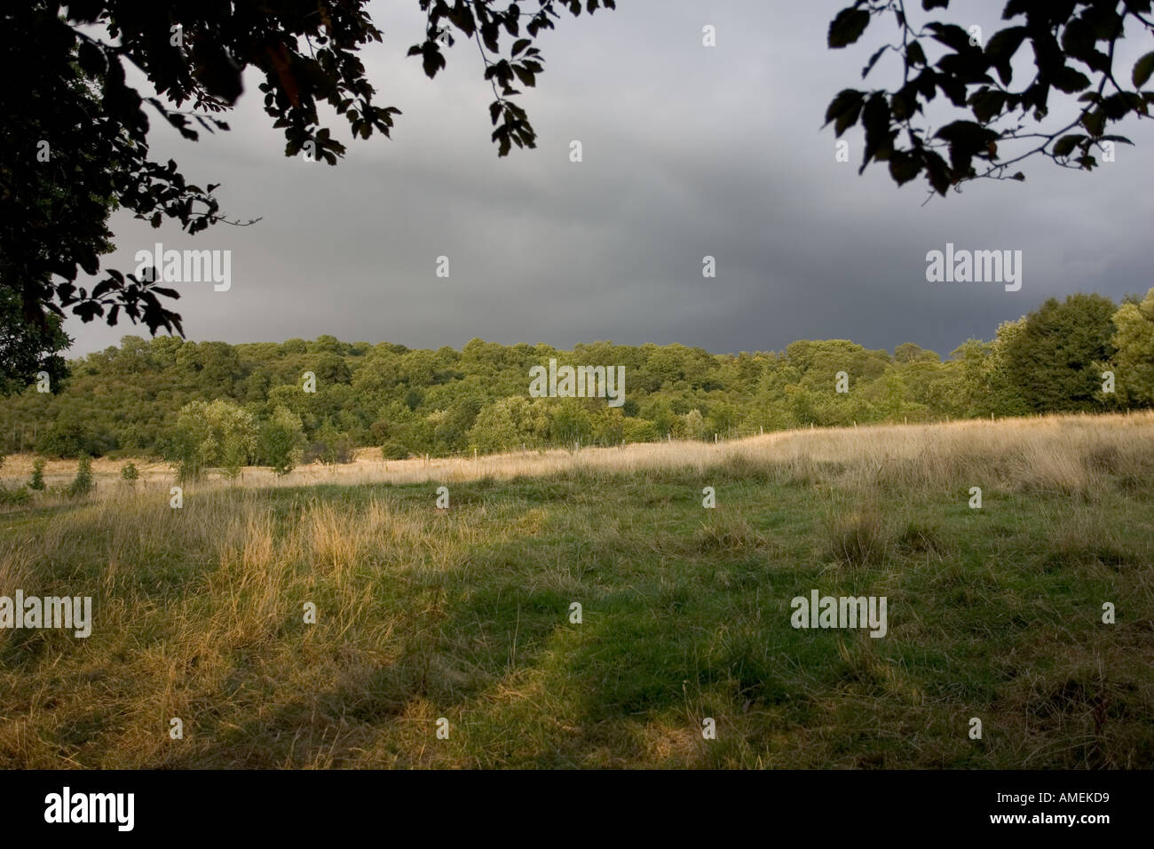 Nimbostratus storm clouds hi-res stock photography and images - Alamy