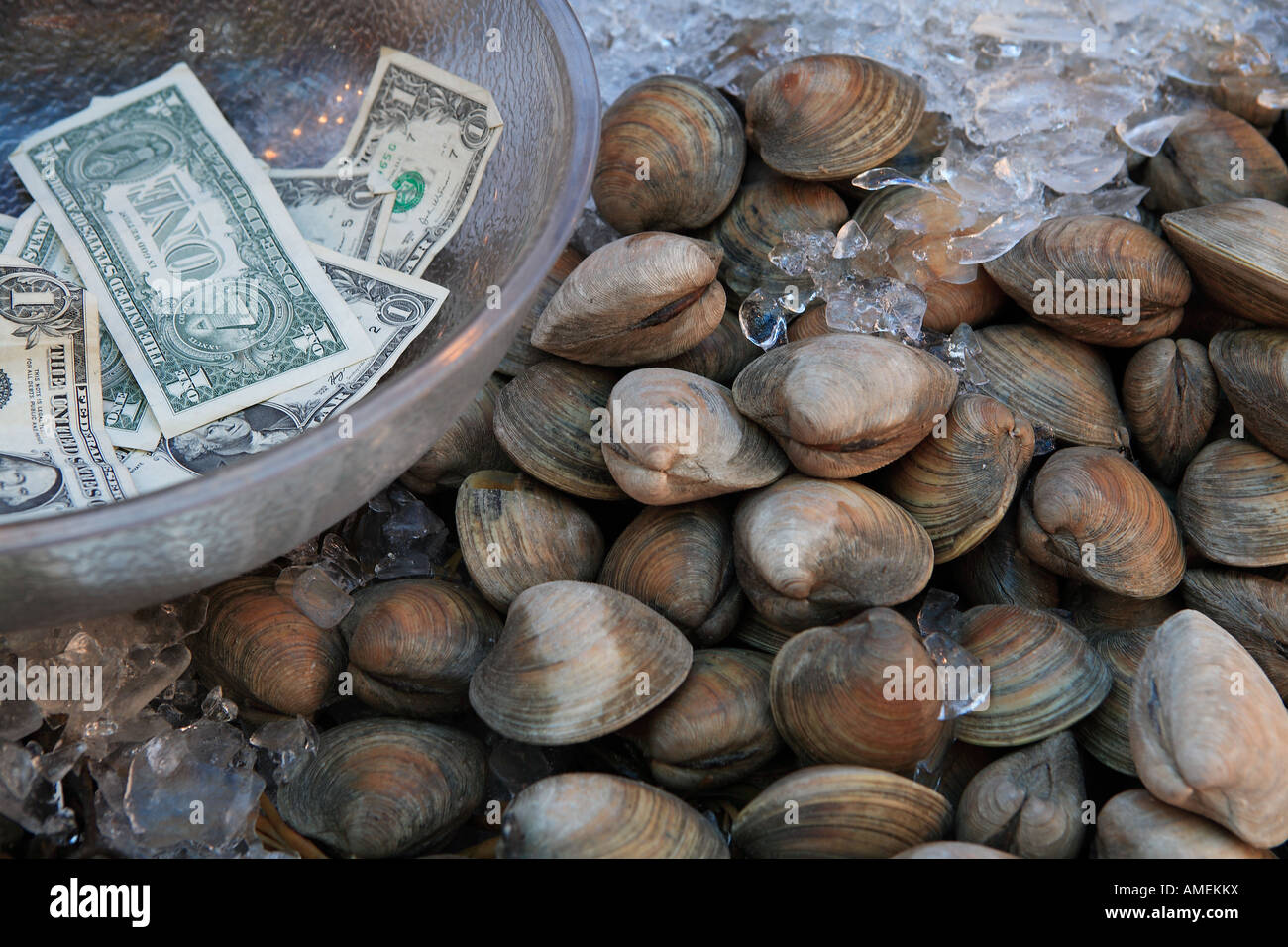 clams and money at a seafood vendor Stock Photo Alamy