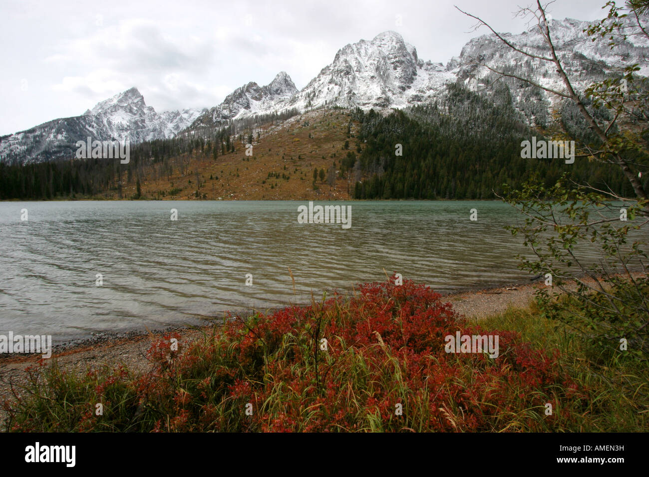 jenny lake in grand teton national park, wyoming Stock Photo