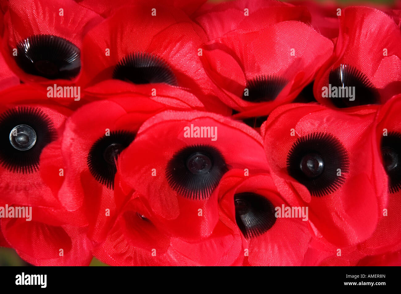 Close up of red poppies on a remembrance day wreath Stock Photo