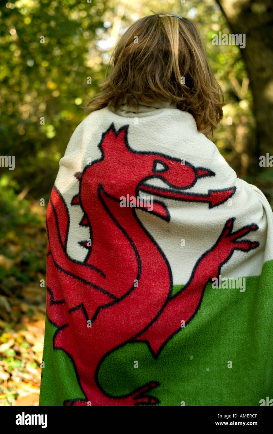 young girl wrapped in welsh flag (red dragon national emblem of wales) walking in a forest Stock Photo