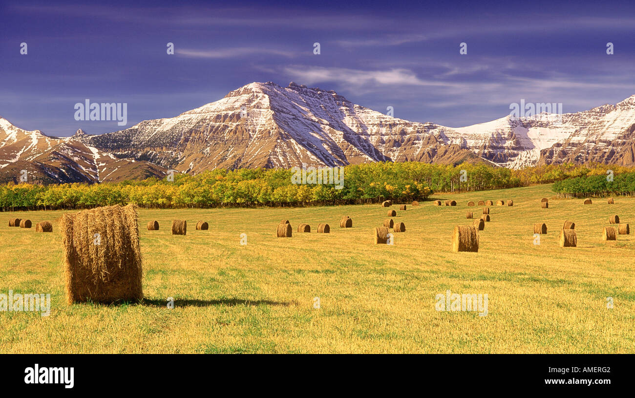 Hay Bales and Mountains Waterton Lakes National Park Alberta, Canada
