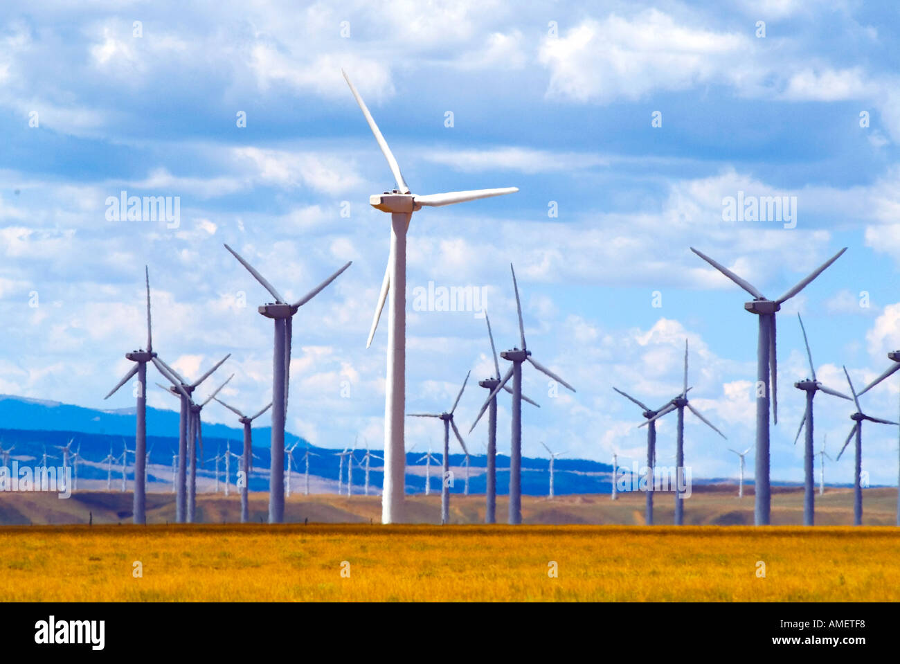 Seawest wind powered turbines near Rock River Wyoming Stock Photo