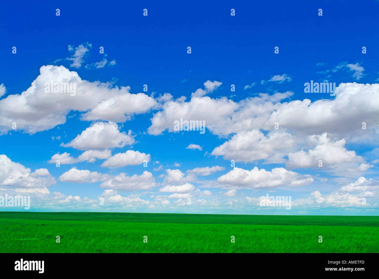 Green Grass Blue Sky And White Clouds Background Depicting Wide Open Stock Photo Alamy