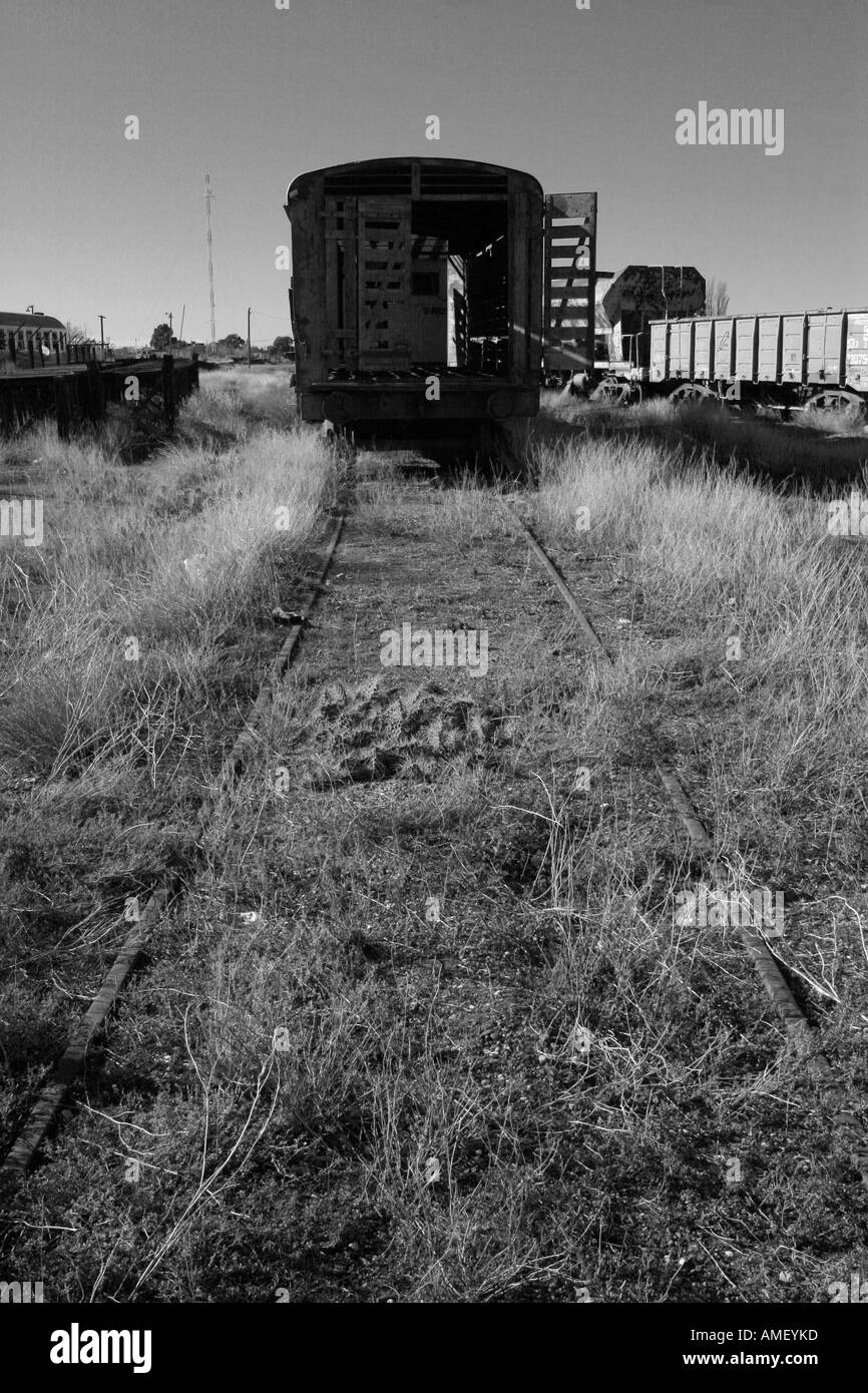 Rusty, old and abandoned wooden wagon freight train in Las Grutas, Provincia de Chubut, Patagonia, Argentina. In black and white Stock Photo