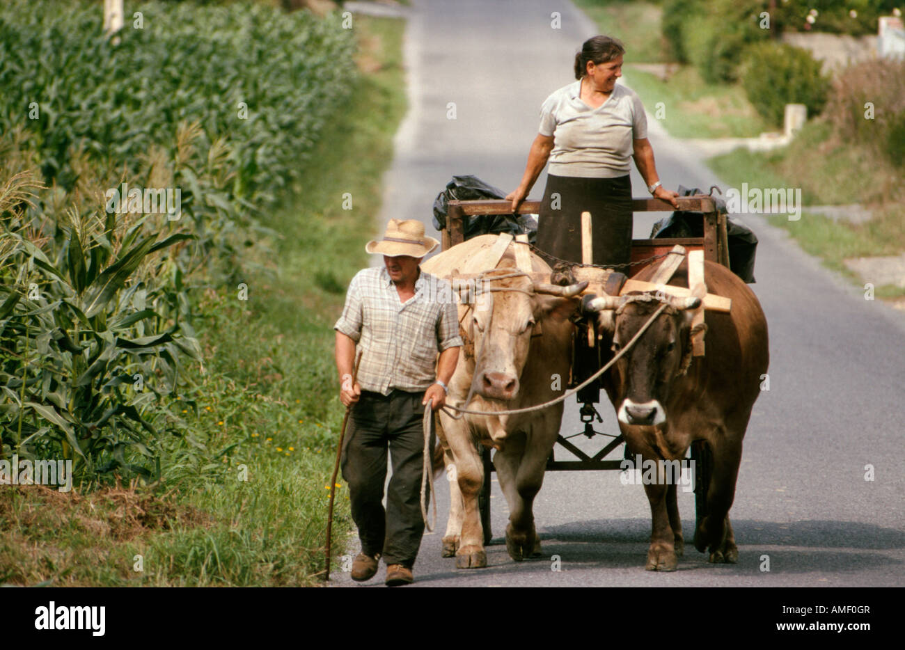 Spanish ox cart hires stock photography and images Alamy