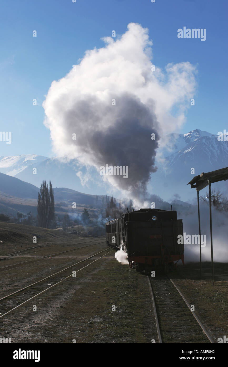 Old steam train locomotive La Trochita stopped in the station of the town of Esquel, Chubut, Patagonia, Argentina. Stock Photo