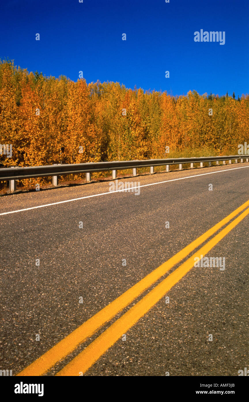 Road and Trees in Autumn Stock Photo - Alamy