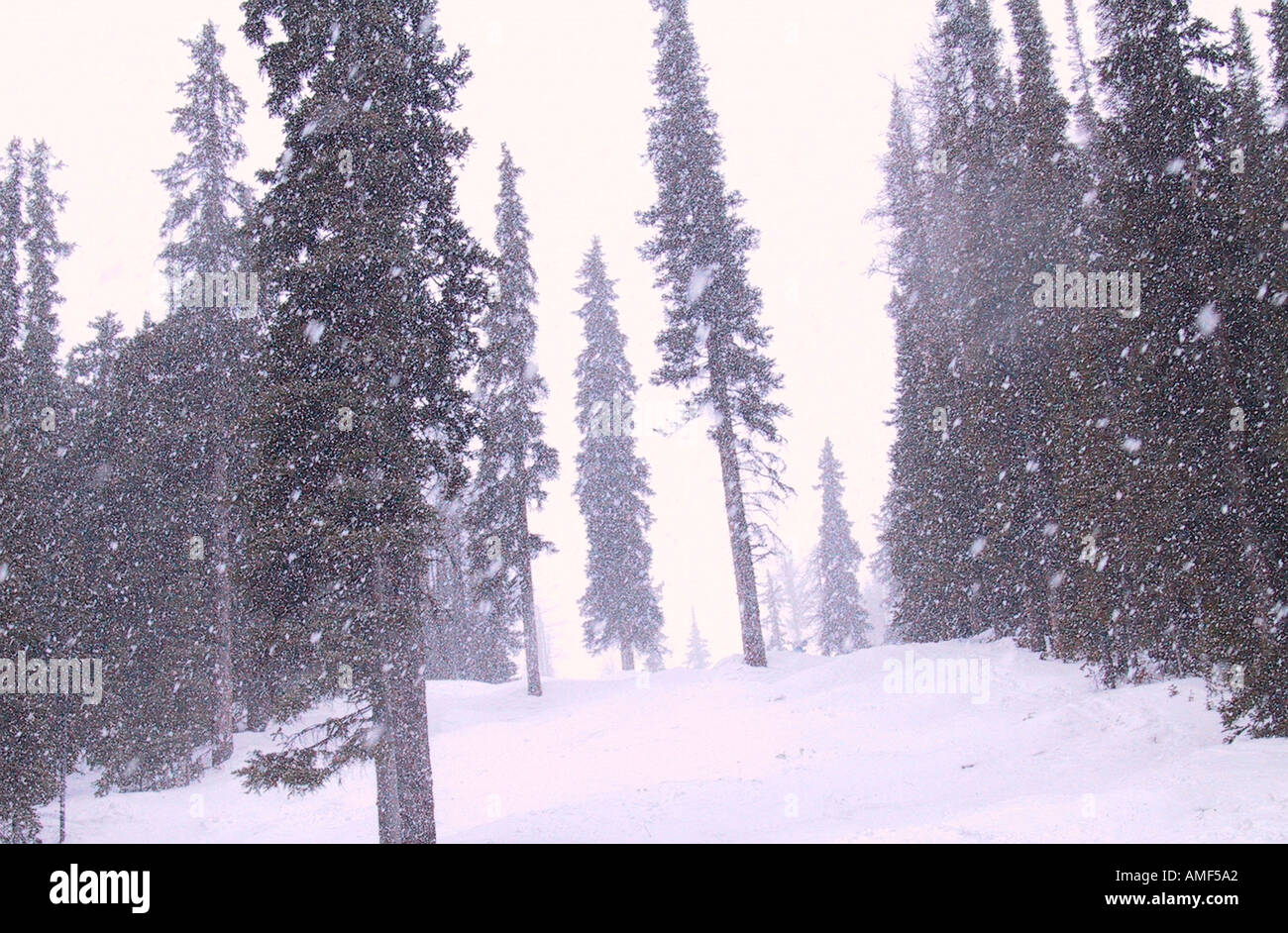 Lake Louise Alberta Stock Photo Alamy