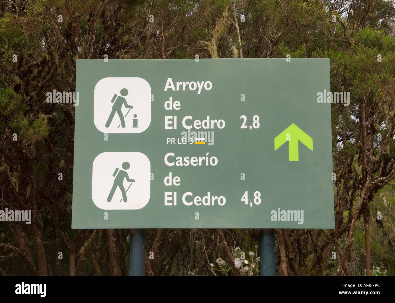 Garajonay National Park sign Parque Nacional de Garajonay, La Gomera, Canary Islands. Cloud forest. Walking trails to El Cedro Stock Photo