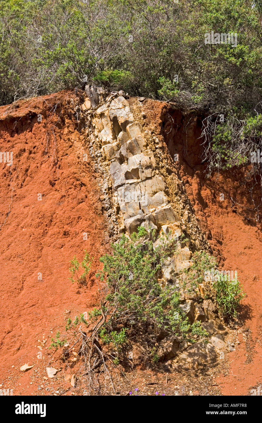 Volcanic dyke. Mass of igneous rock intruded into older red iron rich sedimentary rock. 1km north of Garajonay summit, La Gomera Stock Photo