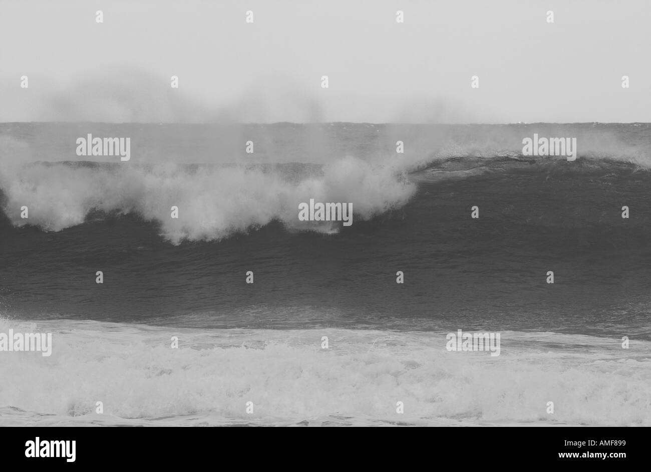 Hawaii beaches Black and White Stock Photos & Images - Alamy