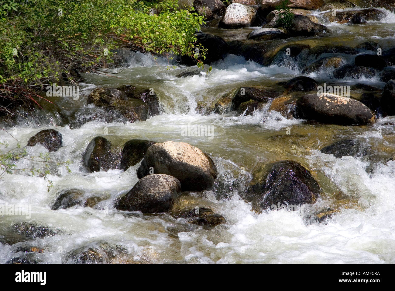 Small tributary stream along the South Fork of the Salmon River near ...