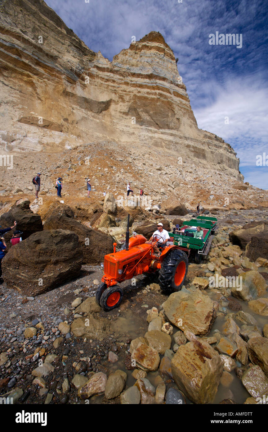 Beach Adventures, Tractor and Trailer tours, naviagating a slip