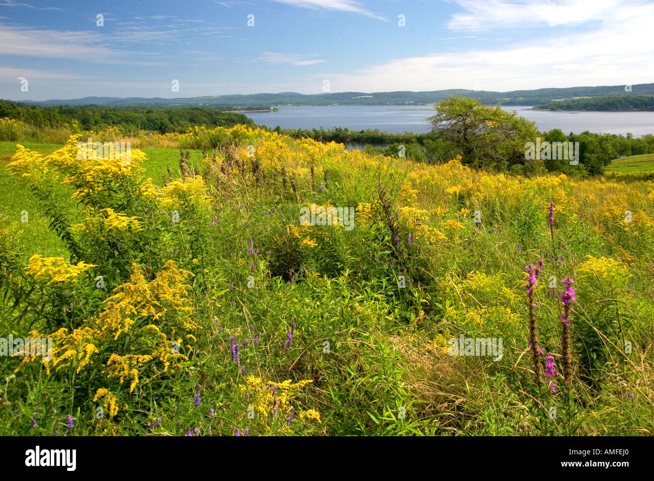 St. John River near the town of St. John, New Brunswick, Canada. Stock Photo