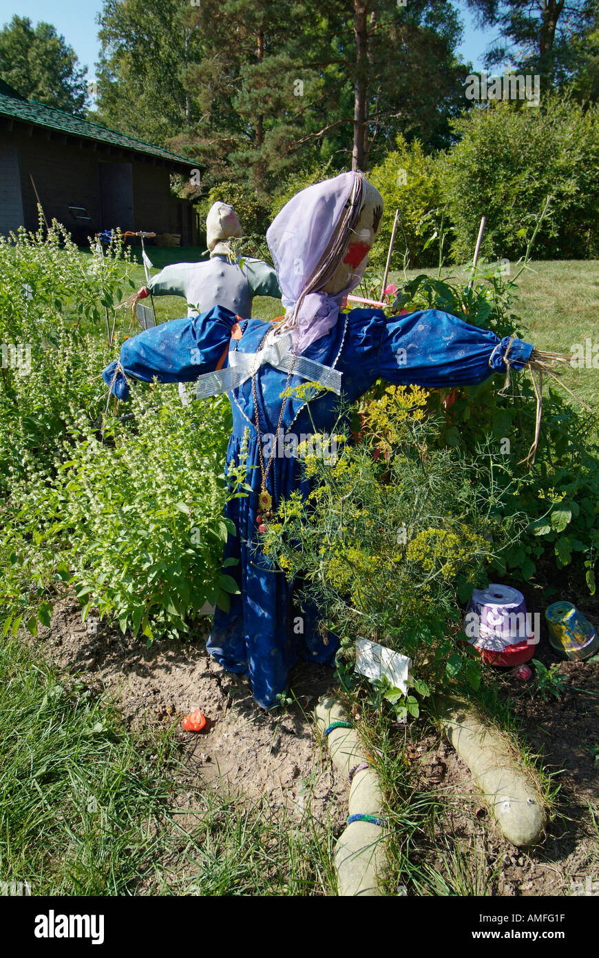 Scarecrow In Vegetable Garden Dow Gardens Midland Michigan Stock