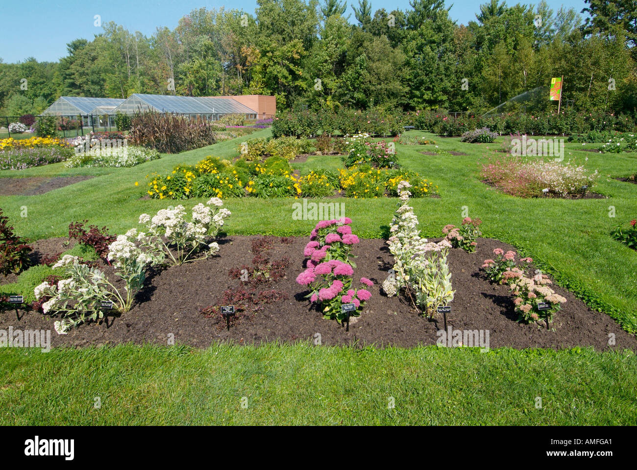 Dow gardens midland flowers hires stock photography and images Alamy