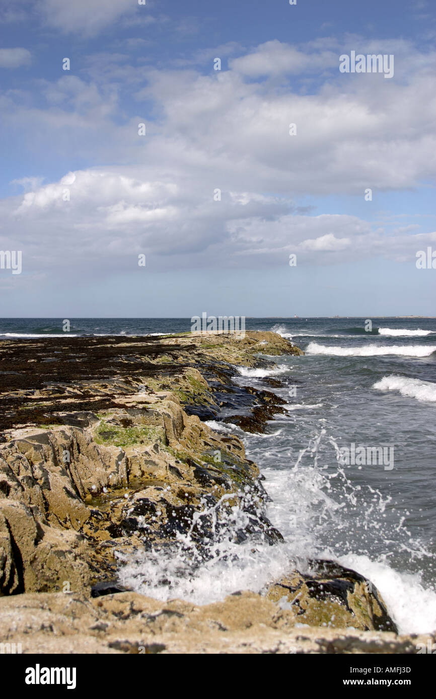 portrait shot of tide coming in against rocks with barnacles attached showing blue sky and farne islands in background Stock Photo