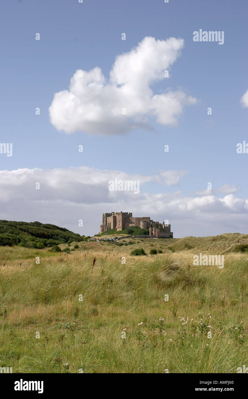 Portrait shot showing grassy foreground bamburgh castle in middle distance and blue sky with large white clouds Stock Photo