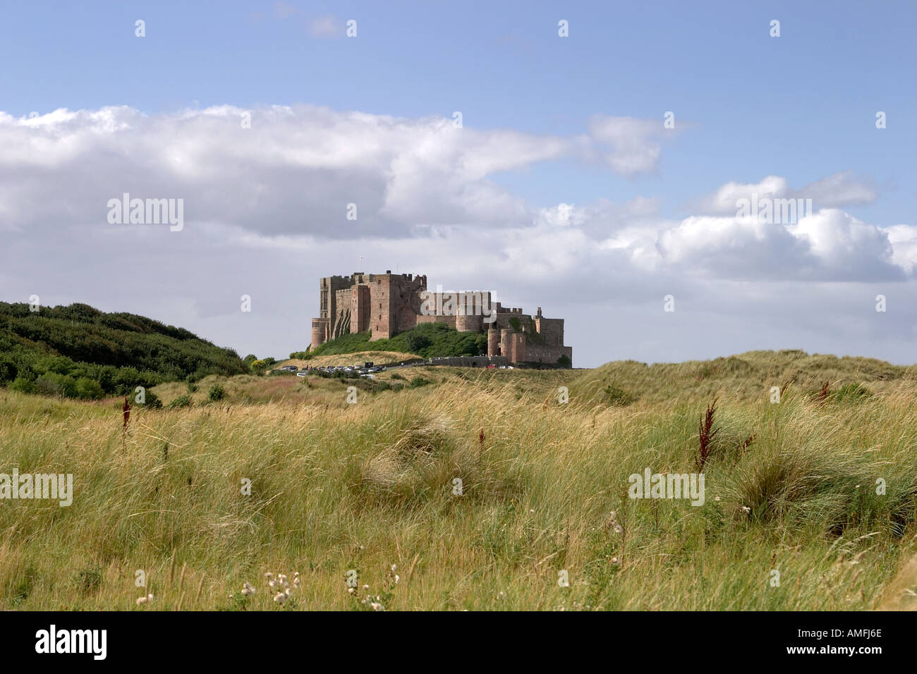 Landscape shot showing grassy foreground bamburgh castle in middle distance and blue sky with large white clouds Stock Photo