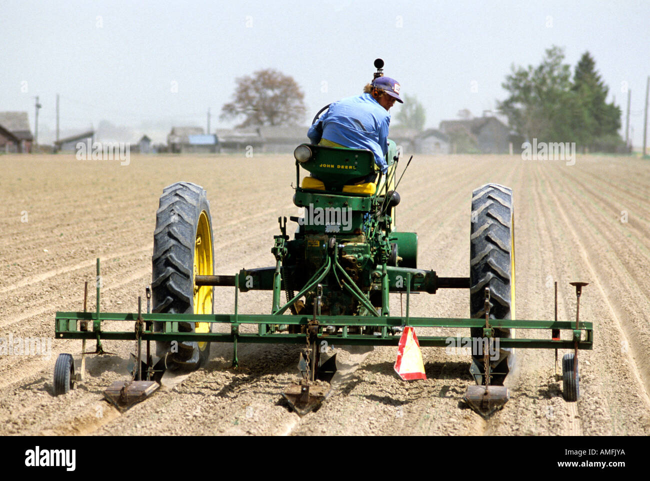 Tractor pulling a cultivator to form corrugates for irrigation. Stock Photo