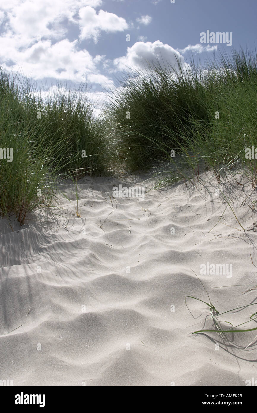 portrait shot showing beach grass with sand and dune blue sky with clouds and sun Stock Photo