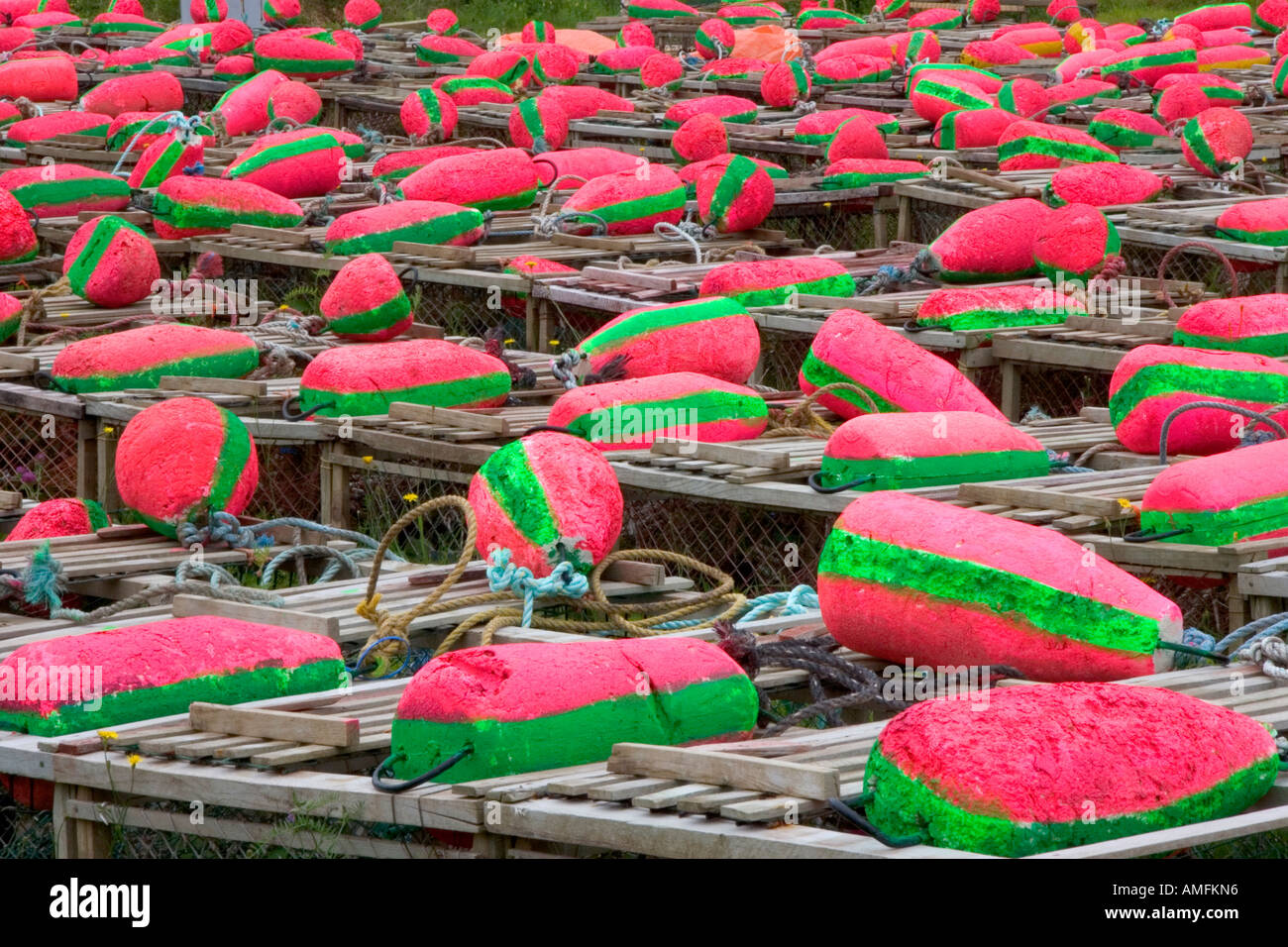 Lobster trap floats near Cape Pele, New Brunswick, Canada Stock Photo Alamy