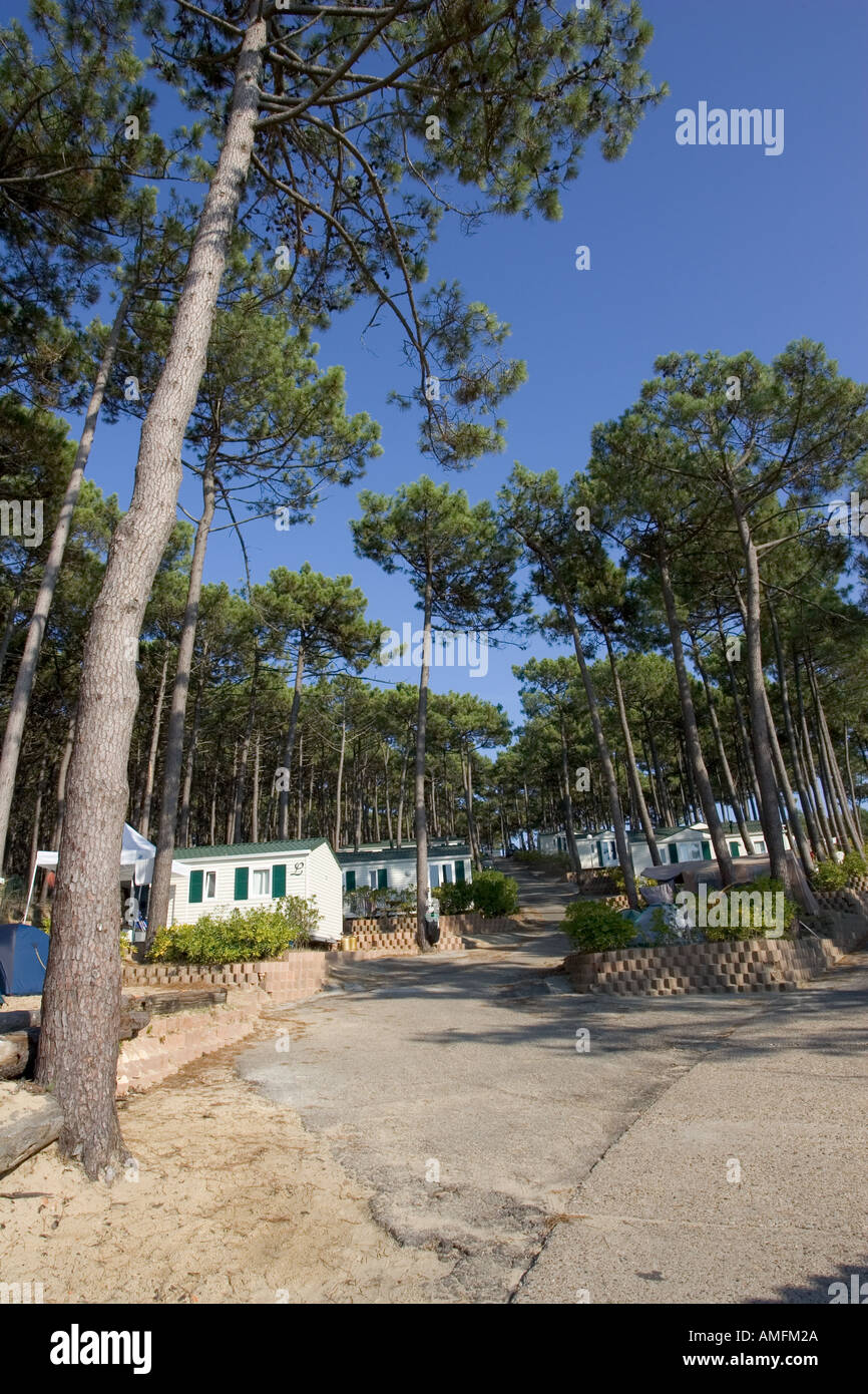 Cabins and caravans in pine trees on Le Petit Nice camp site overlooking the Bassin d Arcachon south of Bordeaux France Stock Photo