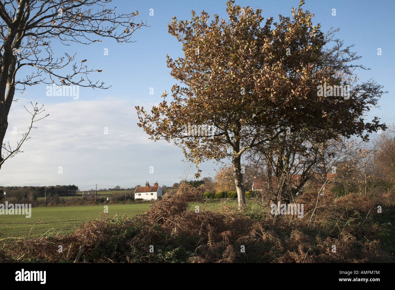 English countryside view winter hi-res stock photography and images - Alamy