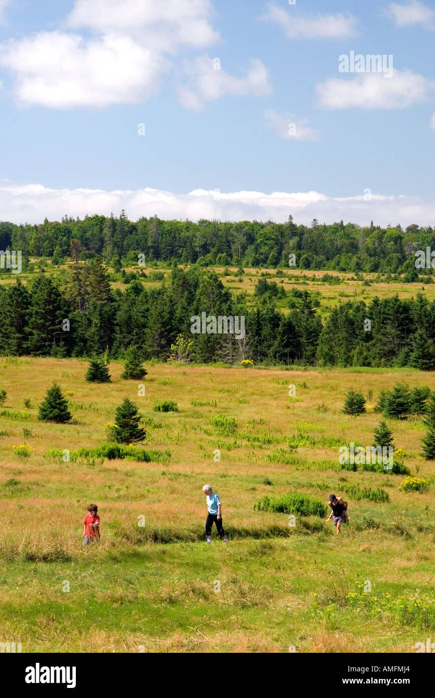 Hikers on a trail at Ft. Amherst near Charlottetown on Prince Edward Island, Canada. Stock Photo