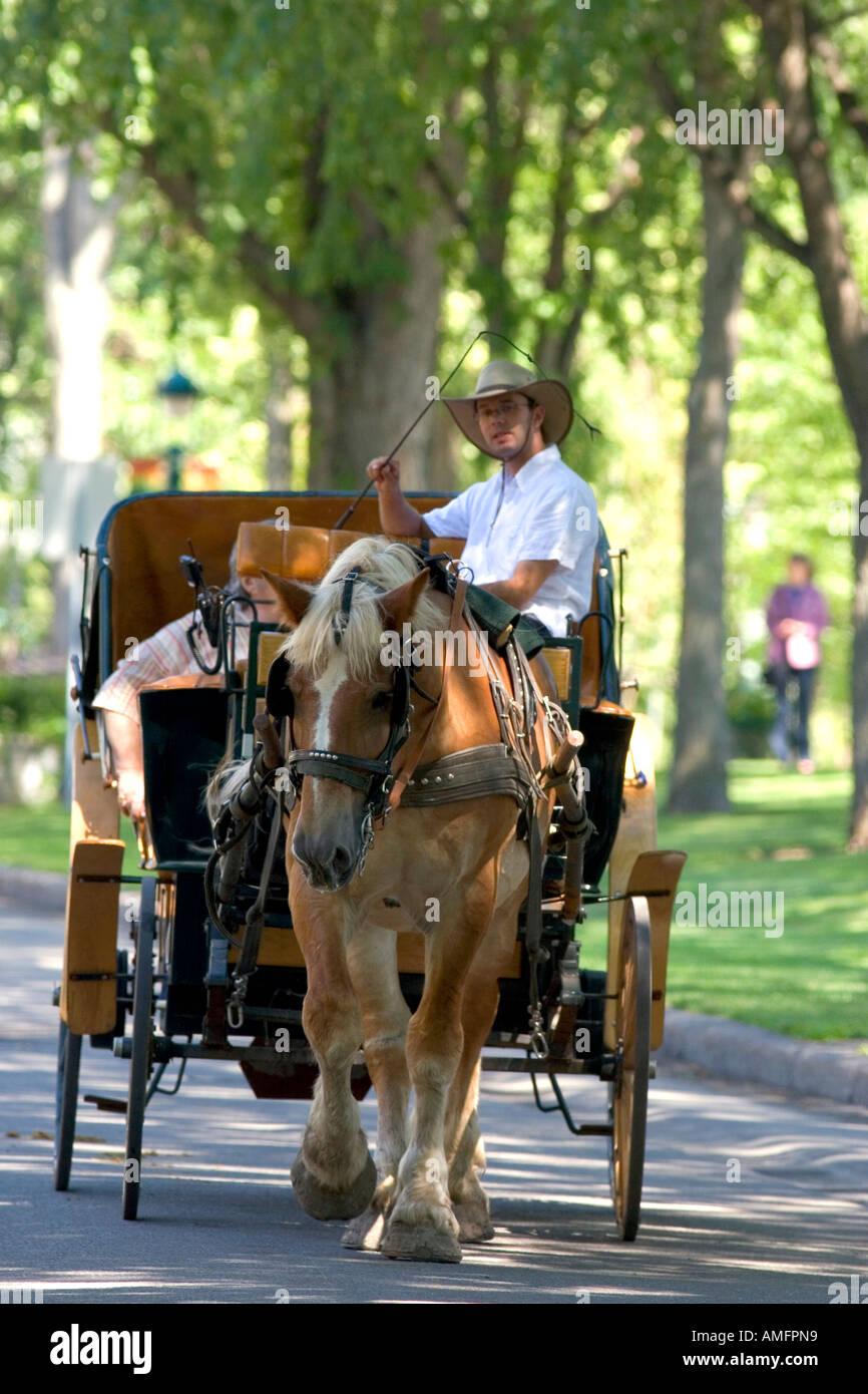 Horse and carriage at Quebec City, Quebec, Canada Stock Photo Alamy