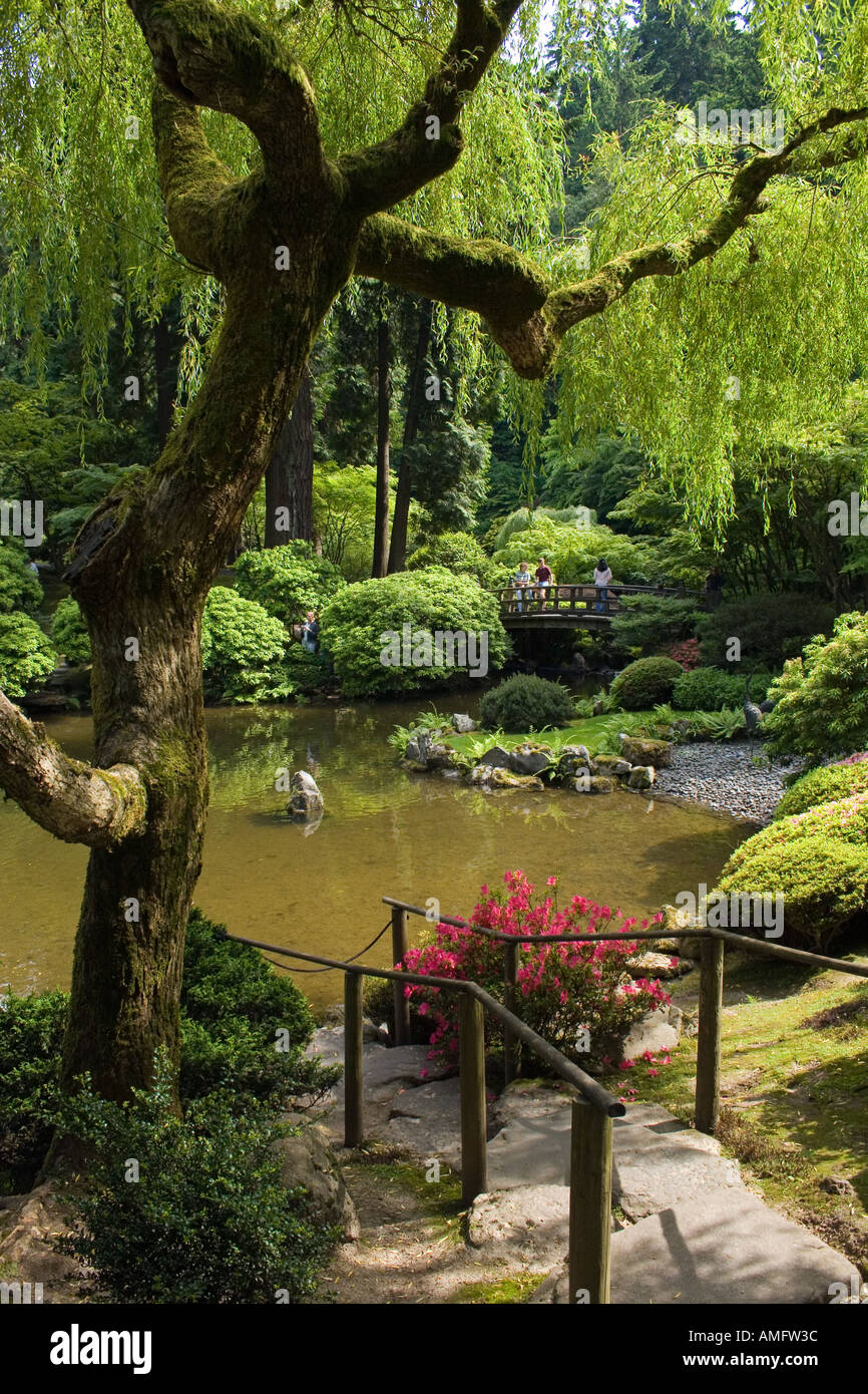 A Willow Tree Overhangs A Pond At The Portland Japanese Garden Stock Photo Alamy A Willow Tree Overhangs A Pond At The Portland Japanese Garden Stock Photo Alamy