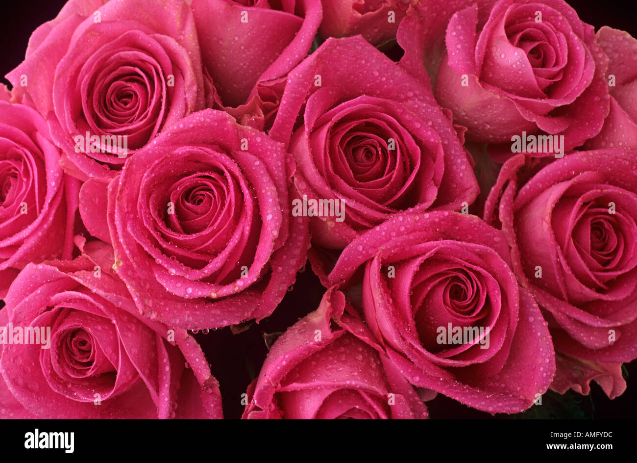 Bouquet of Red Roses Stock Photo - Alamy