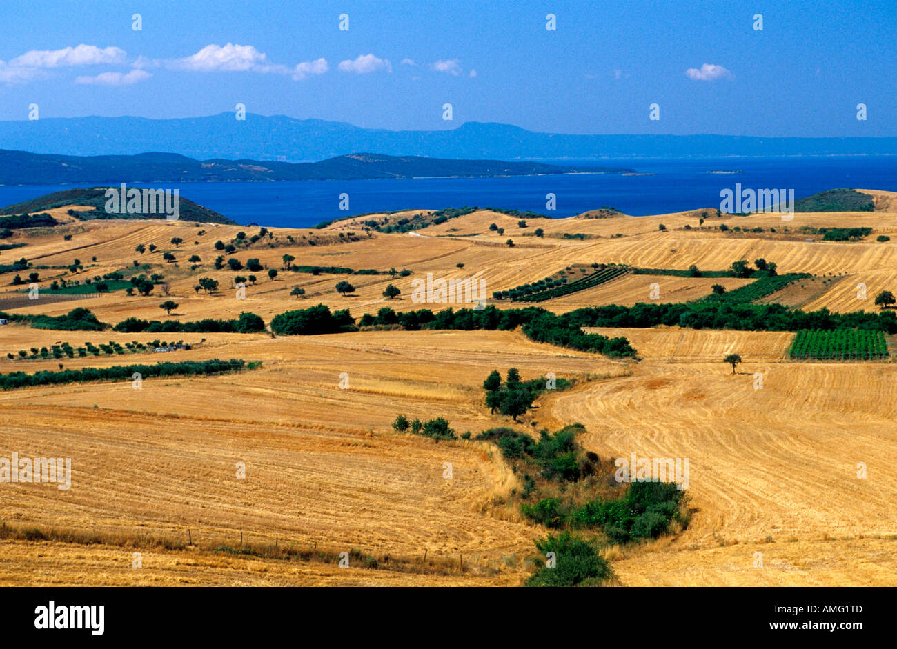 Griechenland, Chalkidiki, Athos, Ierissos, Landschaft südlich von Ierissos Stock Photo