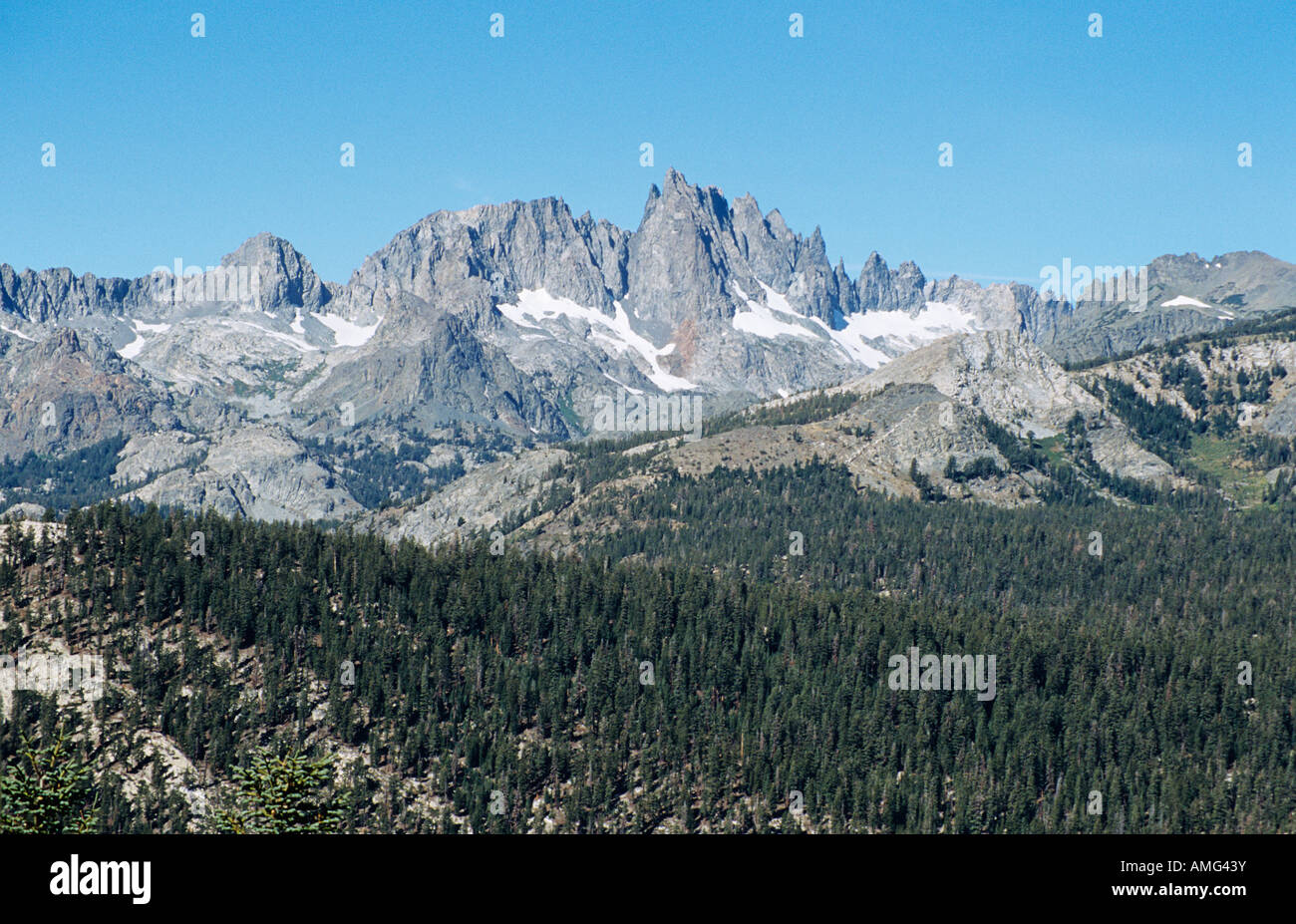Mountain range and forest, Mammoth Lakes region, California, USA Stock